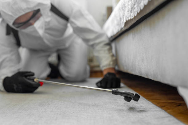 Professional Termite Control technician working in Red River Parish County, LA